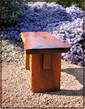 Mesquite Burl Bench